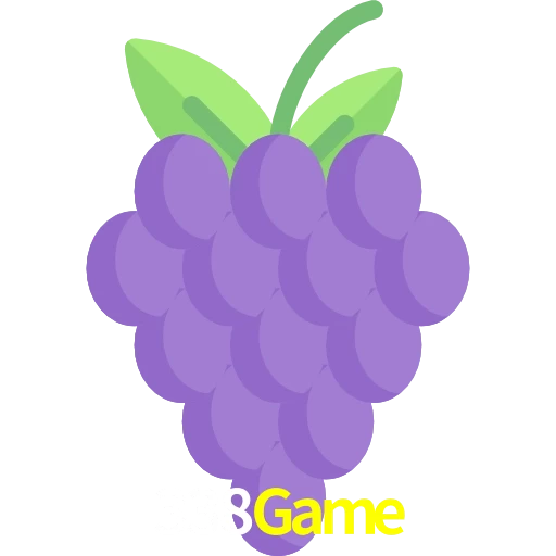 338Game
